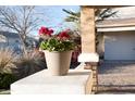 Close-up of a front porch with a decorative potted plant, offering a cozy welcome at 3701 S Wickiup Rd, Apache Junction, AZ 85119