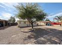 Quaint single-story home featuring a mature shade tree and low-maintenance gravel landscaping at 1757 W Argon St, Mesa, AZ 85201