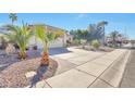 View of the front exterior with desert landscaping along the driveway at 2091 E Flintlock Way, Chandler, AZ 85286