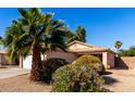 Single-story home featuring desert landscaping and mature palm trees in the front yard at 15114 W Evening Star Trl, Surprise, AZ 85374