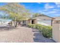 Inviting single-story home with desert landscaping, mature trees, and a well-maintained front yard at 19061 N 5Th Ave, Phoenix, AZ 85027