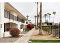 Exterior view of condos featuring balconies and desert landscaping with mature palm trees at 240 S Old Litchfield Rd # 206, Litchfield Park, AZ 85340