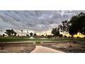 Backyard view with a walkway leading to a tranquil pond featuring a vibrant water fountain at 8147 E Lakeview Ave, Mesa, AZ 85209