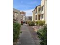 A view of the apartment complex with a pathway and flower beds at 5518 E Lindstrom Ln # 3012, Mesa, AZ 85215