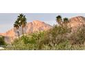 Picturesque mountain view framed by palm trees and desert foliage, creating a serene vista at 6323 E Gold Dust Ave, Paradise Valley, AZ 85253