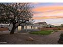 Expansive backyard featuring a covered patio, string lights, and lush green grass, perfect for entertaining at 2520 W Minton St, Phoenix, AZ 85041