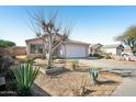 Street view of single story home featuring xeriscaping, mature tree, and attached garage at 7557 W Colter St, Glendale, AZ 85303