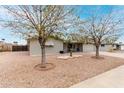 Charming home featuring well-maintained front yard with mature trees and desert landscaping at 6067 E Evergreen St, Mesa, AZ 85205