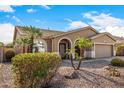 Beautiful single-story home with desert landscaping featuring palm trees and vibrant shrubbery at 10339 E Juanita Ave, Mesa, AZ 85209