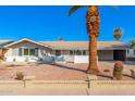 Charming single-story home features desert landscaping, low brick wall, and mature palm trees at 1206 E Loyola Dr, Tempe, AZ 85282