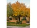 Charming home featuring a beautiful front yard with a large tree displaying vibrant autumn colors at 15011 N 45Th Pl, Phoenix, AZ 85032