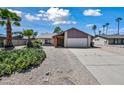 Inviting single-story home featuring desert landscaping with beautiful palm trees at 15652 N 52Nd St, Scottsdale, AZ 85254