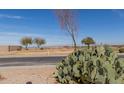 Street view with desert landscaping and a view of distant mountains at 45341 W Paraiso Ln, Maricopa, AZ 85139