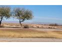 Desert landscape with trees and mountains in the distance at 45341 W Paraiso Ln, Maricopa, AZ 85139