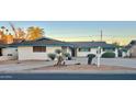 Single-story home showcasing desert landscaping, a well-maintained exterior, and a wide driveway at 537 N Jay St, Chandler, AZ 85225