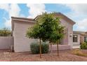 Beautiful home showcasing desert landscaping in the front yard, mature trees, and well-maintained bushes at 1919 E Gary Way, Phoenix, AZ 85042