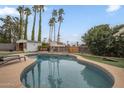 Backyard pool surrounded by palm trees and artificial turf at 6251 E Hannibal St, Mesa, AZ 85205