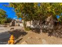 Landscaped front yard showcasing desert landscaping, a mature tree, and a well-maintained lawn at 15788 W Sierra St, Surprise, AZ 85379