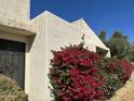 Townhouse exterior featuring well-maintained landscaping with vibrant bougainvillea bushes and a secure front door at 2233 W Farmdale Ave # 2, Mesa, AZ 85202