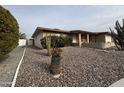 Inviting single-story home featuring easy desert rock landscaping, flowers, and charming cactus at 4026 E Catalina Cir, Mesa, AZ 85206