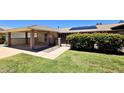 Single story home with carport, landscaped front yard and walkway leading to gated entry with desert foliage at 10816 W Venturi Dr, Sun City, AZ 85351