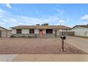 Charming single-story home featuring a nicely landscaped front yard and a pink front door at 248 S 95Th Pl, Chandler, AZ 85224