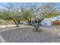 A charming home is nestled among mature trees and lush landscaping in a well-kept yard at 303 W Hazelwood St, Phoenix, AZ 85013