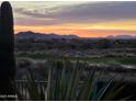 View from the backyard showing a beautiful desert landscape, golf course, and mountains in the distance at 41225 N River Bend Rd, Phoenix, AZ 85086