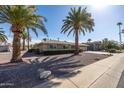 A lovely home front with mature palm trees and desert landscaping, offering curb appeal at 9309 W Briarwood Cir, Sun City, AZ 85351