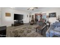 Cozy living room with comfortable seating, a patterned rug, and a large television at 10019 W Shasta Dr, Sun City, AZ 85351