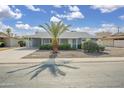 Well-maintained single-story home with manicured landscaping and a mature palm tree in the front yard at 12408 N Cherry Hills W Dr, Sun City, AZ 85351