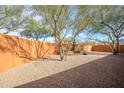 Backyard gravel landscaping with desert trees and orange wall with gate feature at 1301 E Belmont Ave, Phoenix, AZ 85020