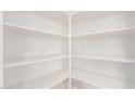 Walk-in pantry offering ample storage space with multiple shelves at 21629 N Dietz Dr, Maricopa, AZ 85138