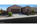 Inviting single-story home featuring a spacious driveway, desert landscaping, and a two-car garage at 21889 N 259Th Ave, Buckeye, AZ 85396