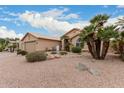 Desert landscaped front yard with palm trees and bushes surround a single story home at 26681 S Howard Dr, Sun Lakes, AZ 85248