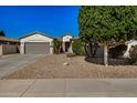 Charming single-story home with desert landscaping, mature trees, and a two-car garage at 3194 E Mead Dr, Chandler, AZ 85249