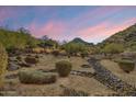 Desert backyard featuring tasteful landscaping, bushes, and rock features at 9515 E Julep Cir, Mesa, AZ 85207