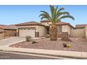 A charming one story home with desert landscaping and a palm tree at 10762 W Cimarron Dr, Peoria, AZ 85373