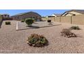 Expansive backyard featuring desert landscaping with decorative stone and a mature privacy hedge at 17542 W Pinnacle Vista Dr, Surprise, AZ 85387