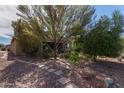 Well landscaped front yard with desert plants and stone walkway leading to the front door at 42906 W Darter Dr, Maricopa, AZ 85138