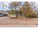 Charming single-story home with desert landscaping and a serene residential street view at 904 W Tulane Dr, Tempe, AZ 85283