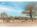 Attractive single-story home boasting desert landscaping, mature trees, and a charming stone pathway at 5911 E Peak View E Rd, Cave Creek, AZ 85331