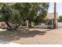 Inviting one-story home featuring a large tree that provides shade over desert landscaping at 6427 E Grandview Dr, Scottsdale, AZ 85254