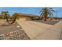 Single-story home with neutral paint, rock landscaping, two-car garage and a well-maintained front yard with a palm tree at 9560 W Country Club Dr, Sun City, AZ 85373