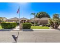 Charming single-story home with lush landscaping, mature palm trees, and well-kept lawn at 4503 E Elmwood St, Mesa, AZ 85205