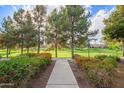 Green community space with mature trees, walking paths, and lush landscaping at 958 S Henry Ln, Gilbert, AZ 85296