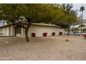 Home featuring a well-manicured yard with mature shade trees and colorful flowering bushes at 2064 S Farnsworth Dr # 43, Mesa, AZ 85209