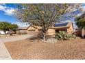 Charming home exterior featuring desert landscaping, a large tree, and solar panels on the roof at 545 N Bluejay Dr, Gilbert, AZ 85234