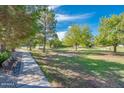 Well-maintained community park featuring benches and a swing set surrounded by lush trees and green grass at 1133 N Florence Dr, Chandler, AZ 85226