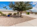 Well-maintained home featuring desert landscaping, a mature shade tree, and a welcoming facade at 12810 W Ashwood Dr, Sun City West, AZ 85375